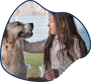 כלבנות טיפולית